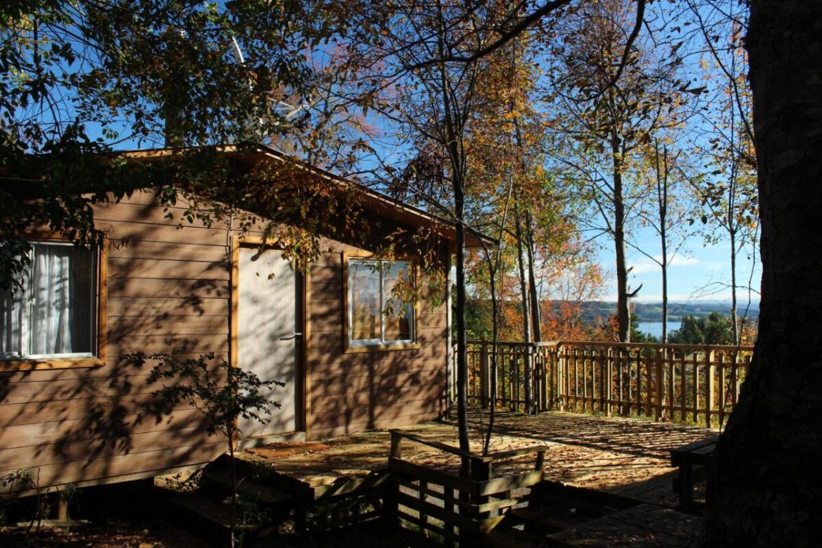 cabanas en lago ranco mas ke miel 1