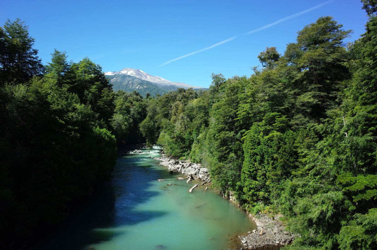 cabanas en puyehue