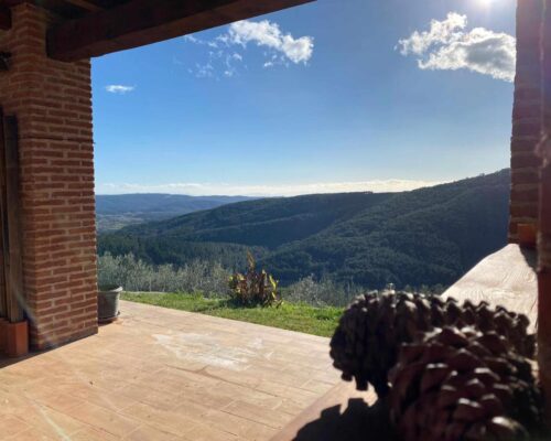 cabanas en avila casa rural olivar 3