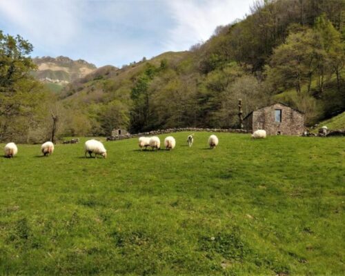 cabanas en cantabria pidream cottage 2