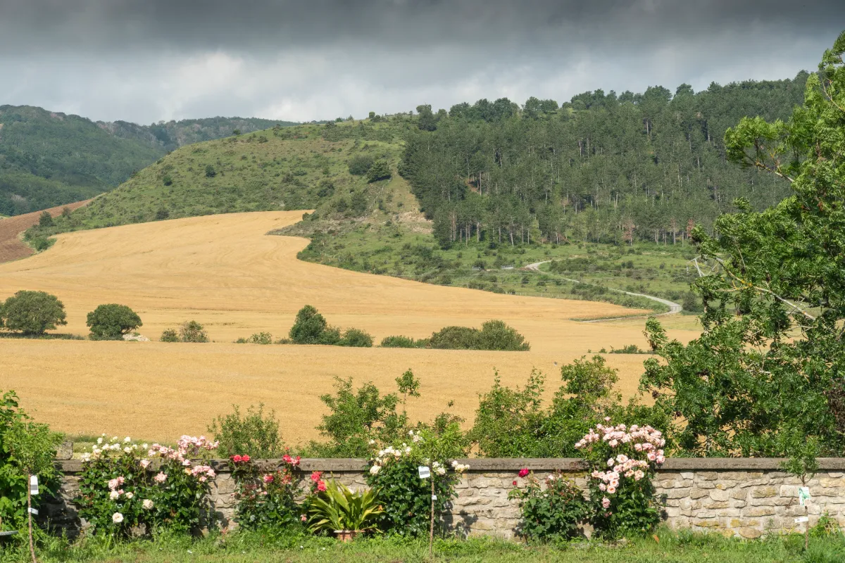 Cabañas en Navarra