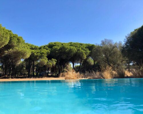 cabanas en sierra de cadiz baumhauser 3